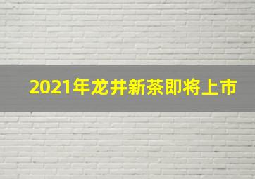 2021年龙井新茶即将上市