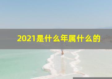 2021是什么年属什么的