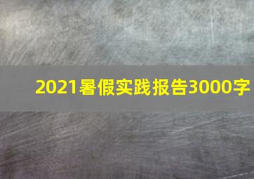 2021暑假实践报告3000字