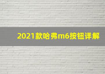 2021款哈弗m6按钮详解