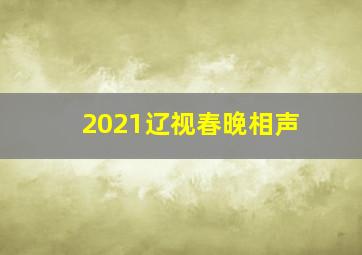 2021辽视春晚相声