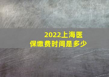 2022上海医保缴费时间是多少