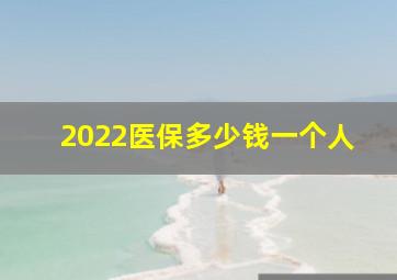 2022医保多少钱一个人