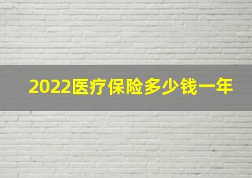 2022医疗保险多少钱一年