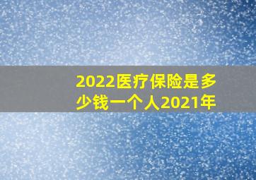 2022医疗保险是多少钱一个人2021年