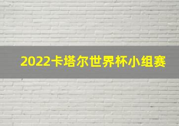 2022卡塔尔世界杯小组赛