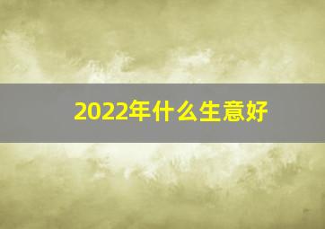 2022年什么生意好