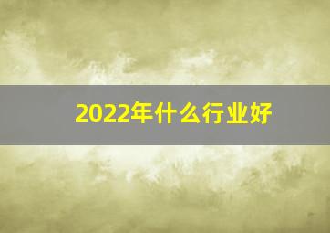 2022年什么行业好