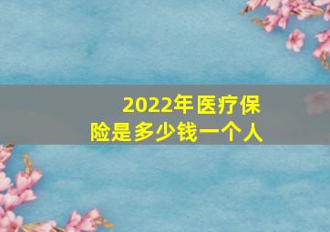 2022年医疗保险是多少钱一个人