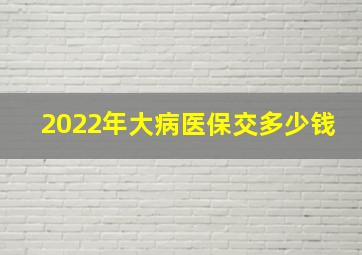 2022年大病医保交多少钱