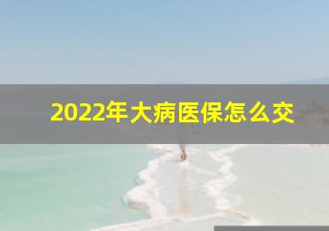 2022年大病医保怎么交