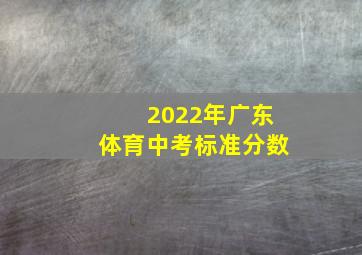 2022年广东体育中考标准分数