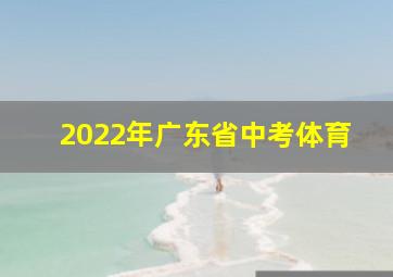 2022年广东省中考体育