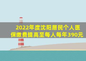 2022年度沈阳居民个人医保缴费提高至每人每年390元