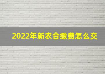 2022年新农合缴费怎么交