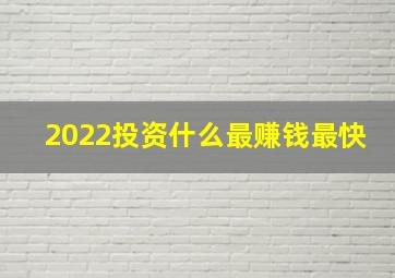 2022投资什么最赚钱最快