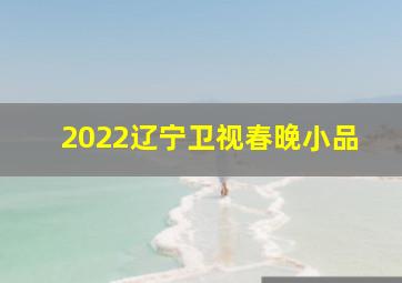 2022辽宁卫视春晚小品