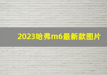 2023哈弗m6最新款图片