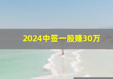 2024中签一股赚30万