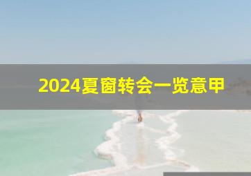 2024夏窗转会一览意甲