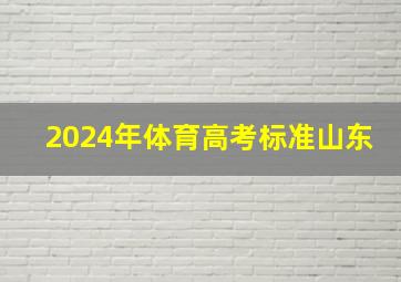 2024年体育高考标准山东