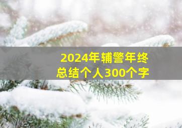 2024年辅警年终总结个人300个字