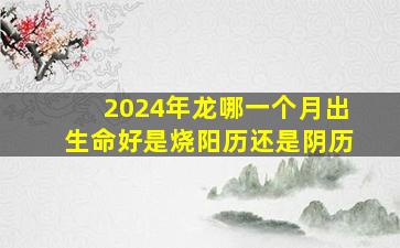 2024年龙哪一个月出生命好是烧阳历还是阴历