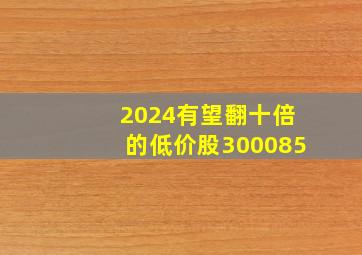 2024有望翻十倍的低价股300085