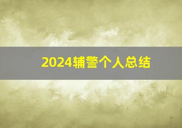 2024辅警个人总结