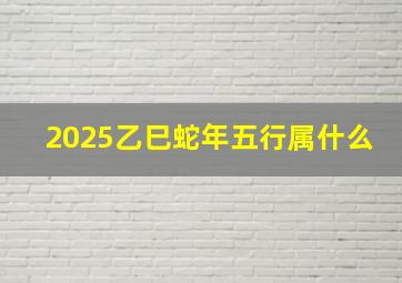 2025乙巳蛇年五行属什么