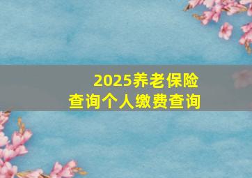 2025养老保险查询个人缴费查询