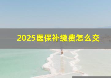 2025医保补缴费怎么交