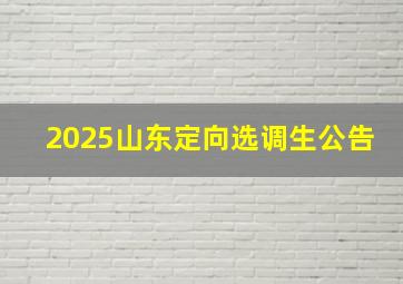 2025山东定向选调生公告