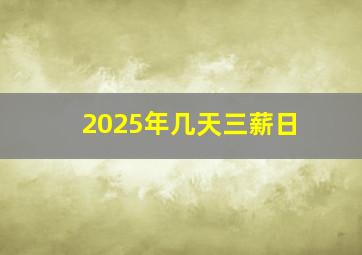 2025年几天三薪日