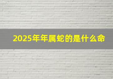 2025年年属蛇的是什么命