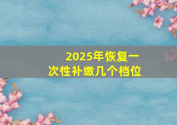 2025年恢复一次性补缴几个档位