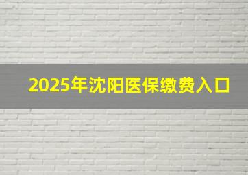 2025年沈阳医保缴费入口