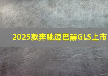 2025款奔驰迈巴赫GLS上市