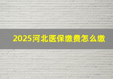 2025河北医保缴费怎么缴