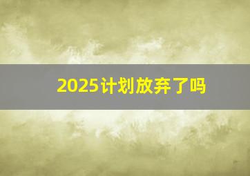 2025计划放弃了吗