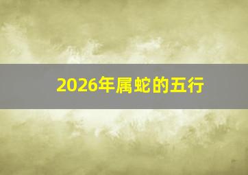 2026年属蛇的五行