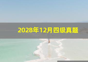 2028年12月四级真题