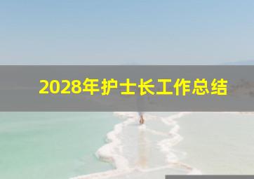 2028年护士长工作总结