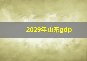 2029年山东gdp