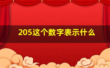 205这个数字表示什么