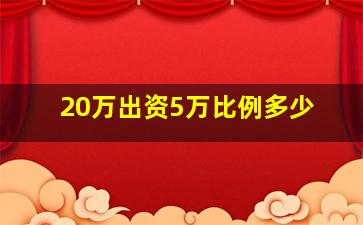 20万出资5万比例多少