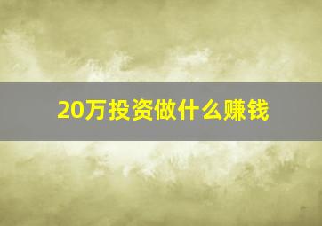 20万投资做什么赚钱