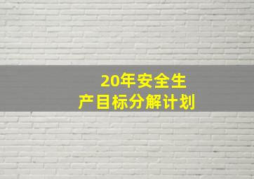 20年安全生产目标分解计划