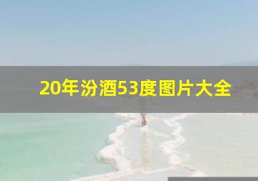 20年汾酒53度图片大全