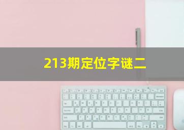 213期定位字谜二